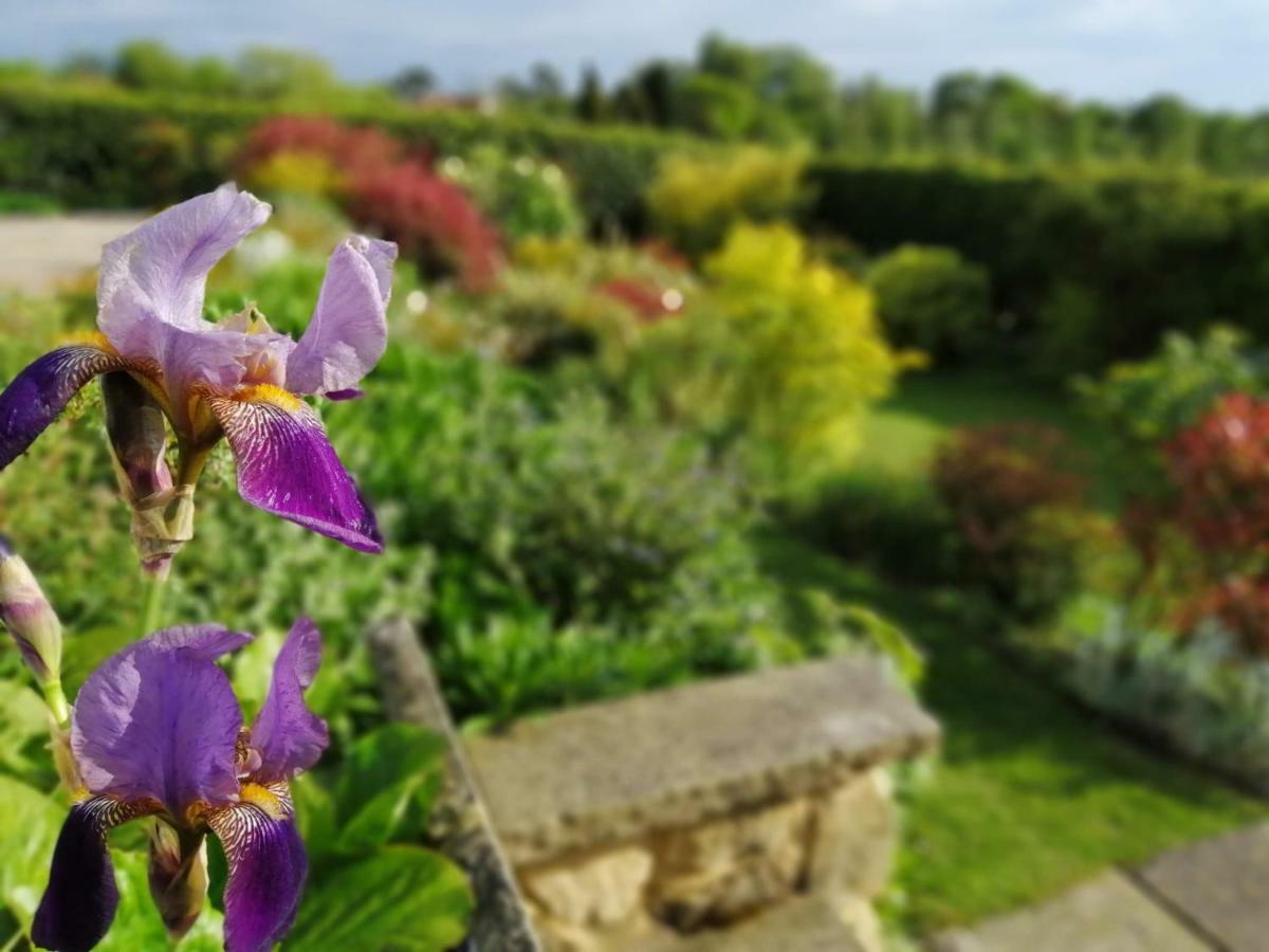 Meadow Cottage Bed & Breakfast Hawkhurst Bagian luar foto
